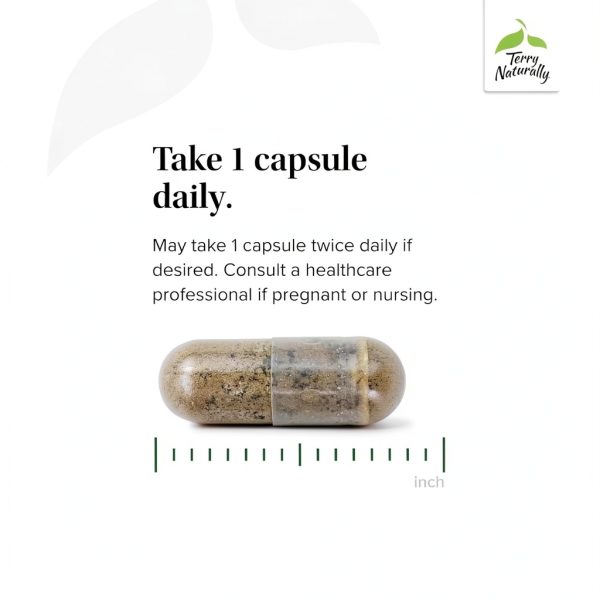 Ashwagandha Andrographis Supplement Immune Energy Support-3