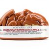 Nootropics Depot Andrographis Paniculata Capsules Immune-1