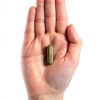 Carlyle Andrographis Supplement Ayurvedic Wellness Formula-7