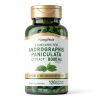 Andrographis Paniculata Extract Standardized 40mg-2
