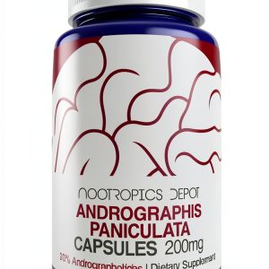 Nootropics Depot Andrographis Paniculata Capsules Immune-0