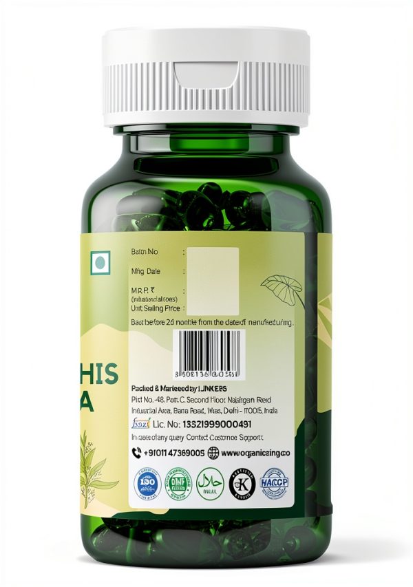 Andrographis Paniculata Extract Capsules Vegan Adult-2