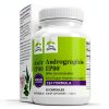 Andrographis Extract Supplement Immune Respiratory Health-0