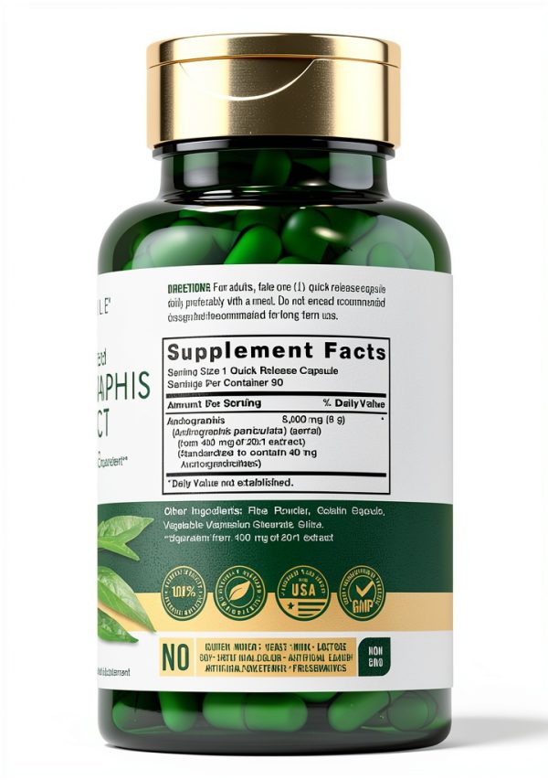 Carlyle Andrographis Supplement Ayurvedic Wellness Formula-1