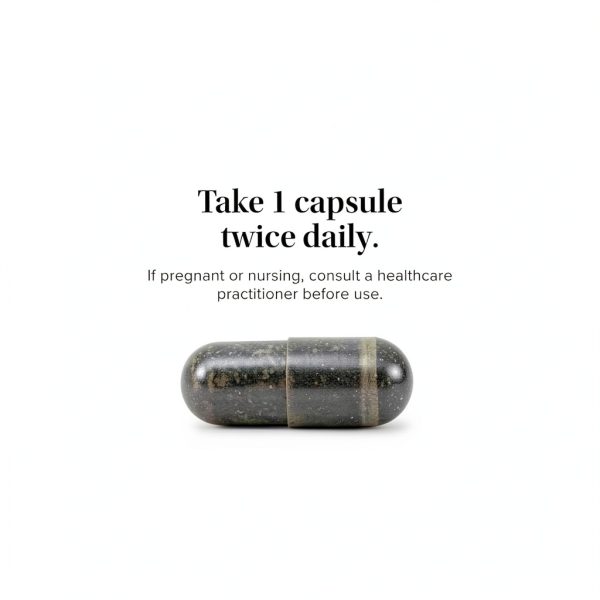 Andrographis Extract Supplement Immune Respiratory Health-3