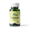 Andrographis Paniculata Extract Capsules Vegan Adult-3