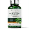 Carlyle Andrographis Supplement Ayurvedic Wellness Formula-5