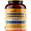 Sandhu Herbals Andrographis Paniculata Kalmegh Immune-0