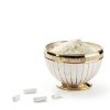 Mimosa Pudica Seed Supplement by Codeage-2